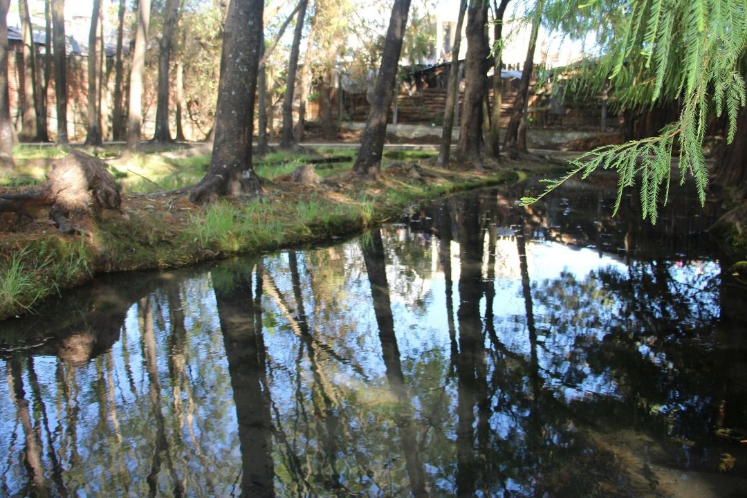 Por el agua, los humedales, la vida y la Paz
