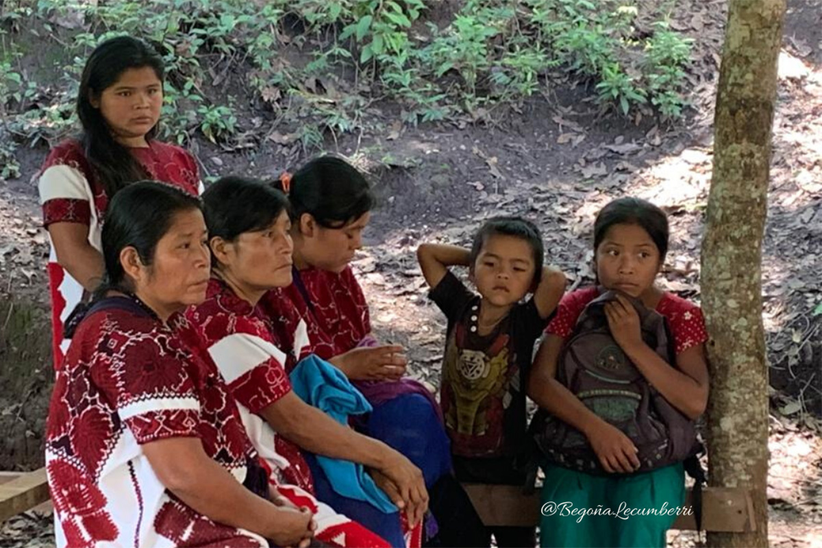 Solidaridad con Pueblos Mayas en desplazamiento forzado: Chalchihuitán