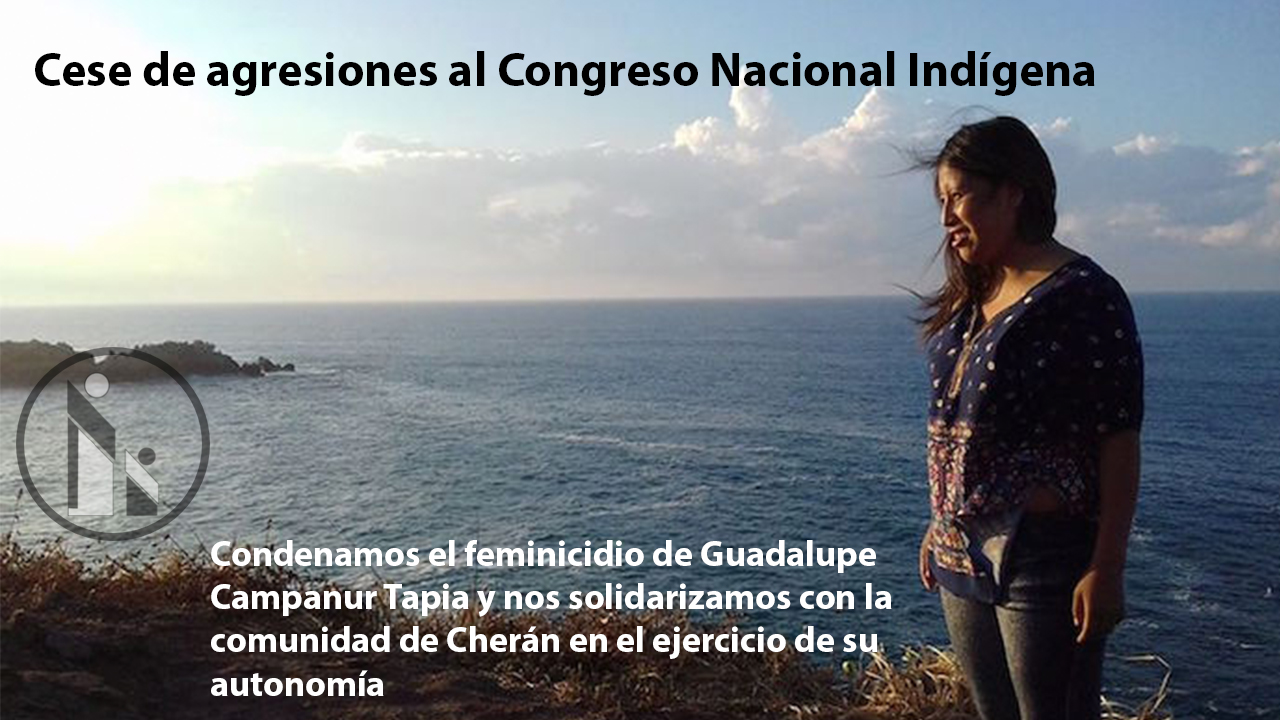 ceseagresionesCNIweb.jpg