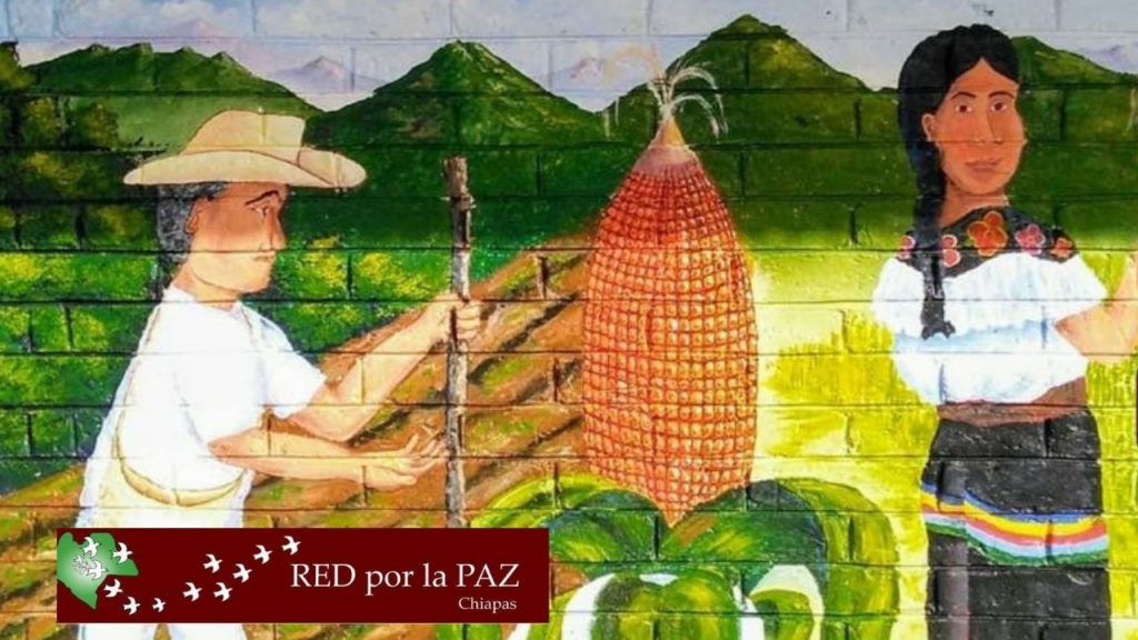 190620_chilon_red_paz-1024x576.jpg