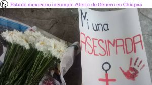 vsfeminicidios-300x169.jpg