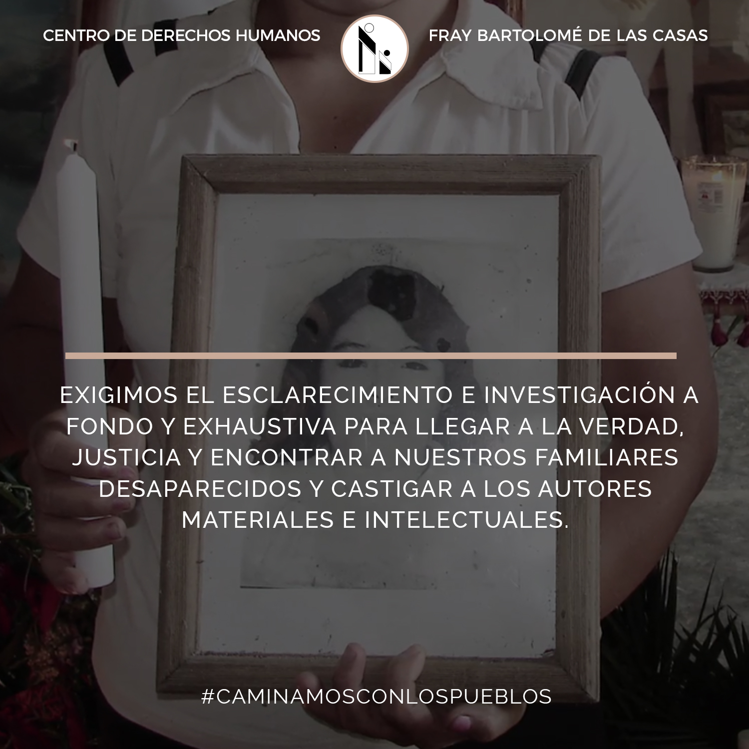 minerva_redes-1.jpg