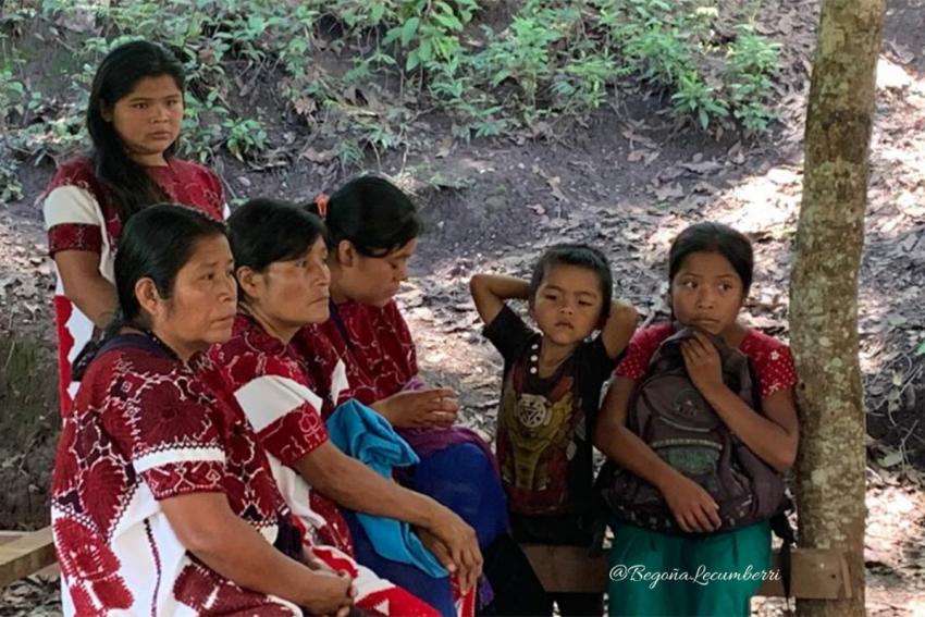 Solidaridad con Pueblos Mayas en desplazamiento forzado: Chalchihuitán