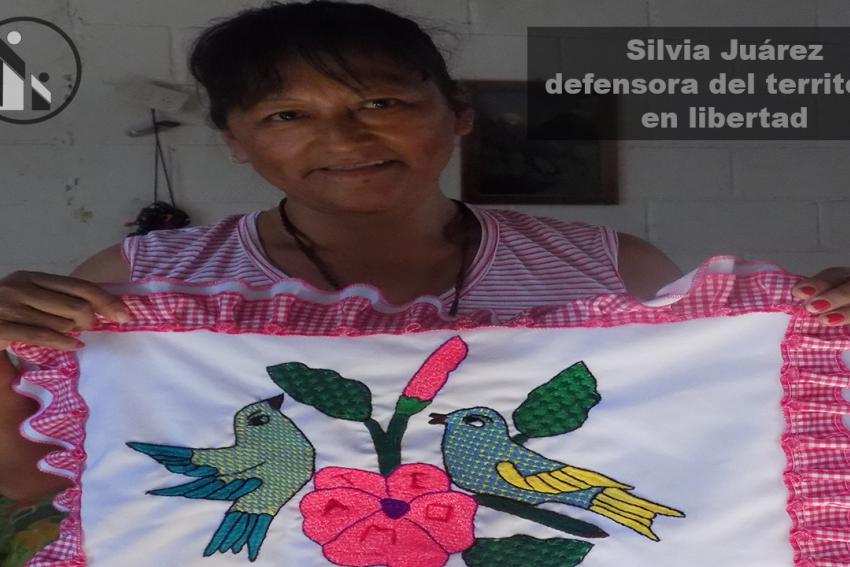 boletino6silvia.jpg