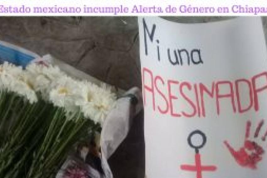 vsfeminicidios-300x169.jpg