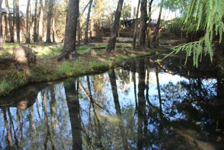 Por el agua, los humedales, la vida y la Paz