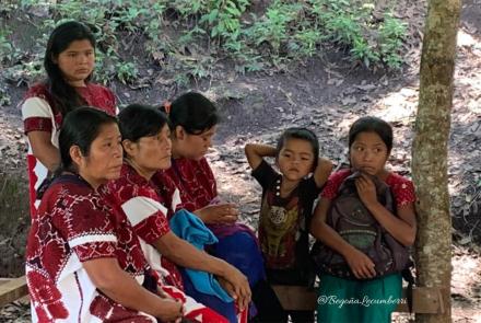 Solidaridad con Pueblos Mayas en desplazamiento forzado: Chalchihuitán