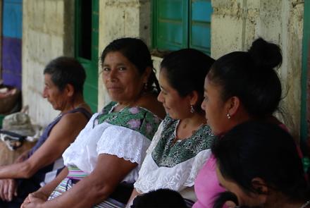 Pueblos Indígenas