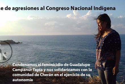 ceseagresionesCNIweb.jpg