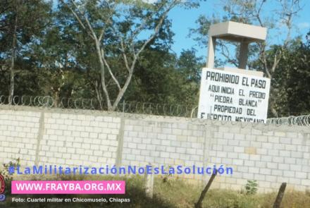 190208_nota_o1_observacion_internacional_chicomuselo.jpg
