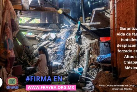 190411_AU_desplazamiento_aldama-1024x576.jpg